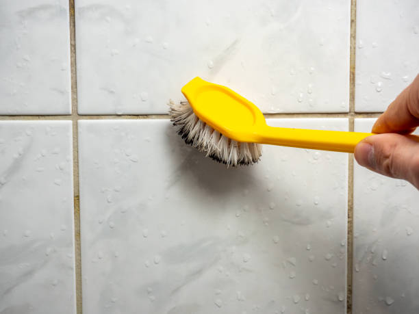 Best Mold Removal and Inspection  in Cambridge, OH