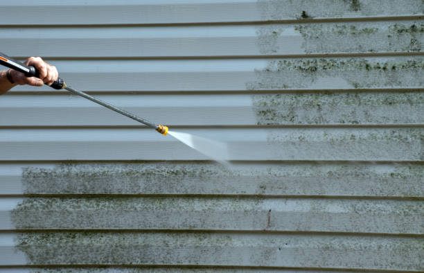 Mold Testing and Removal in Cambridge, OH