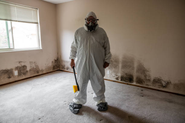 Best Mold Damage Repair  in Cambridge, OH